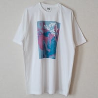 コットン100%Ｔシャツ ホワイト