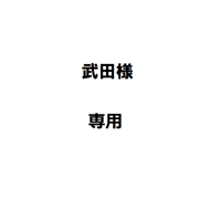 武田様専用
