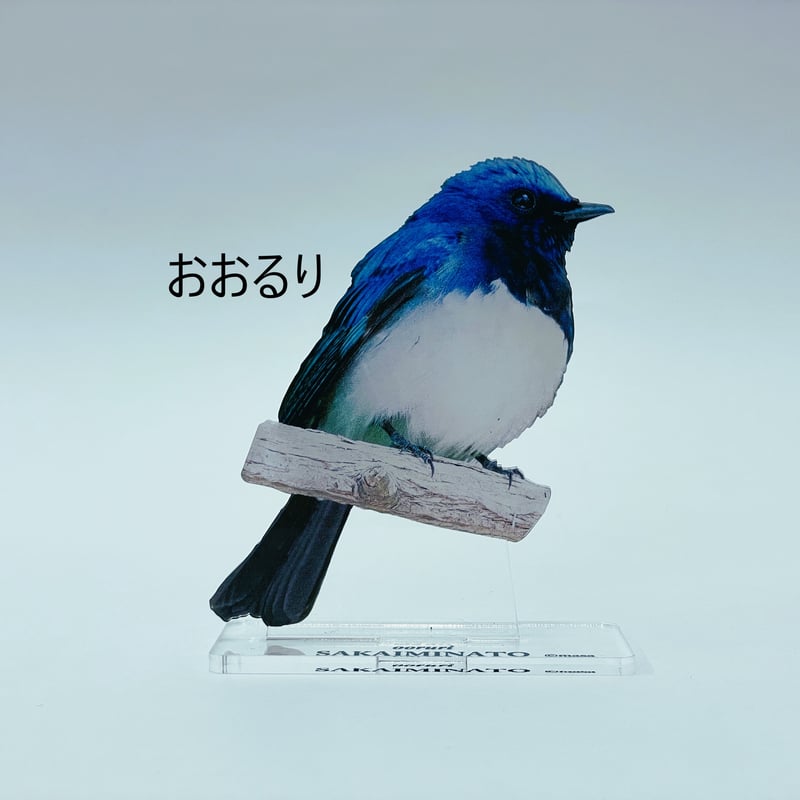野鳥アクリルスタンド【5種】 | みなといろ～境港観光協会オンライン