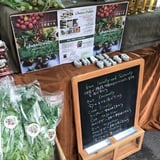 ORGANIC CHAVI FARM STORE