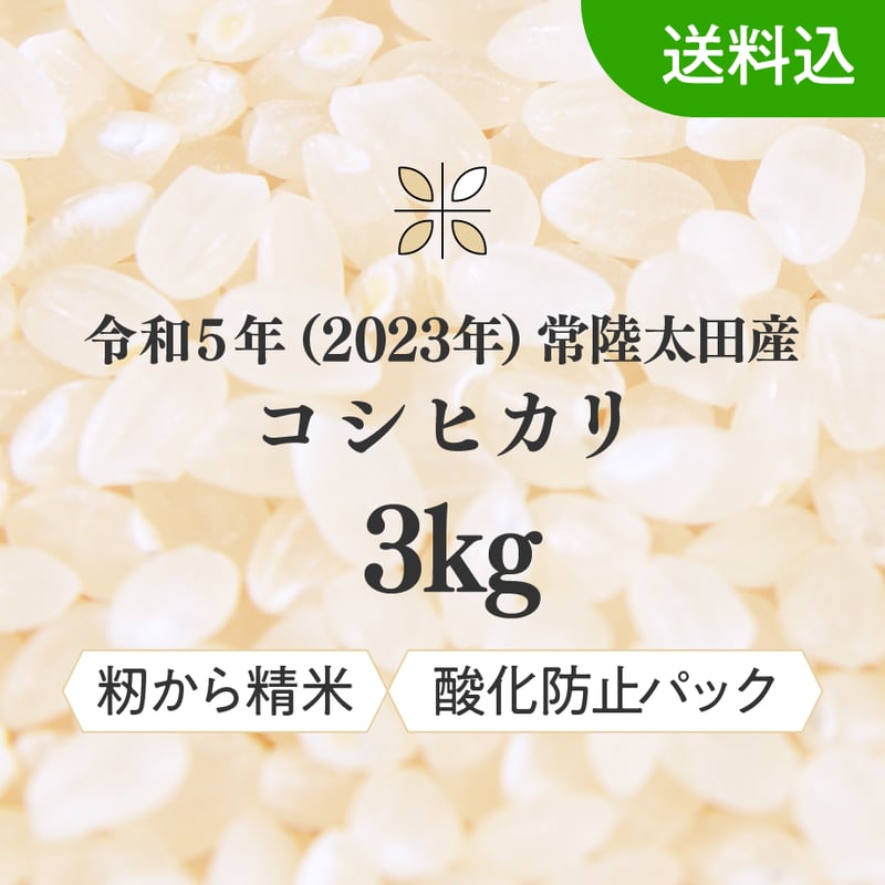 令和3年度　コシヒカリ  25kg 送料込み　値下げ中！6500円 令和7年新米予約 9月発送】農家直送！千葉県産コシヒカリ30kg