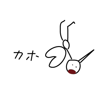 通販対応期間のお知らせ