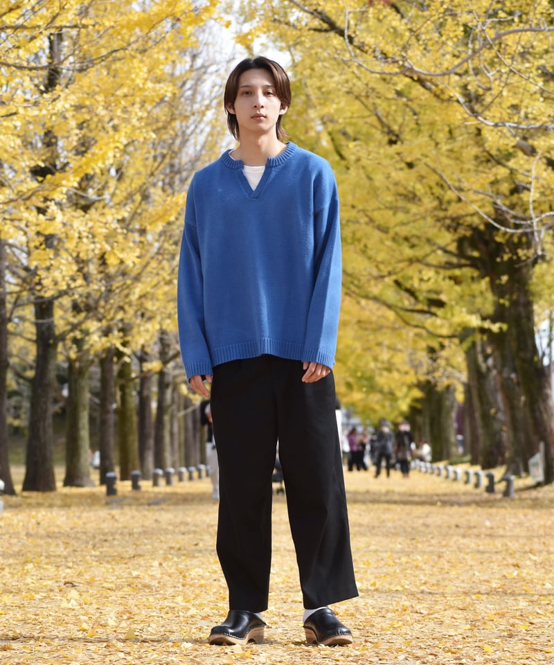 Vネック厚手ニット | Mr.Creape