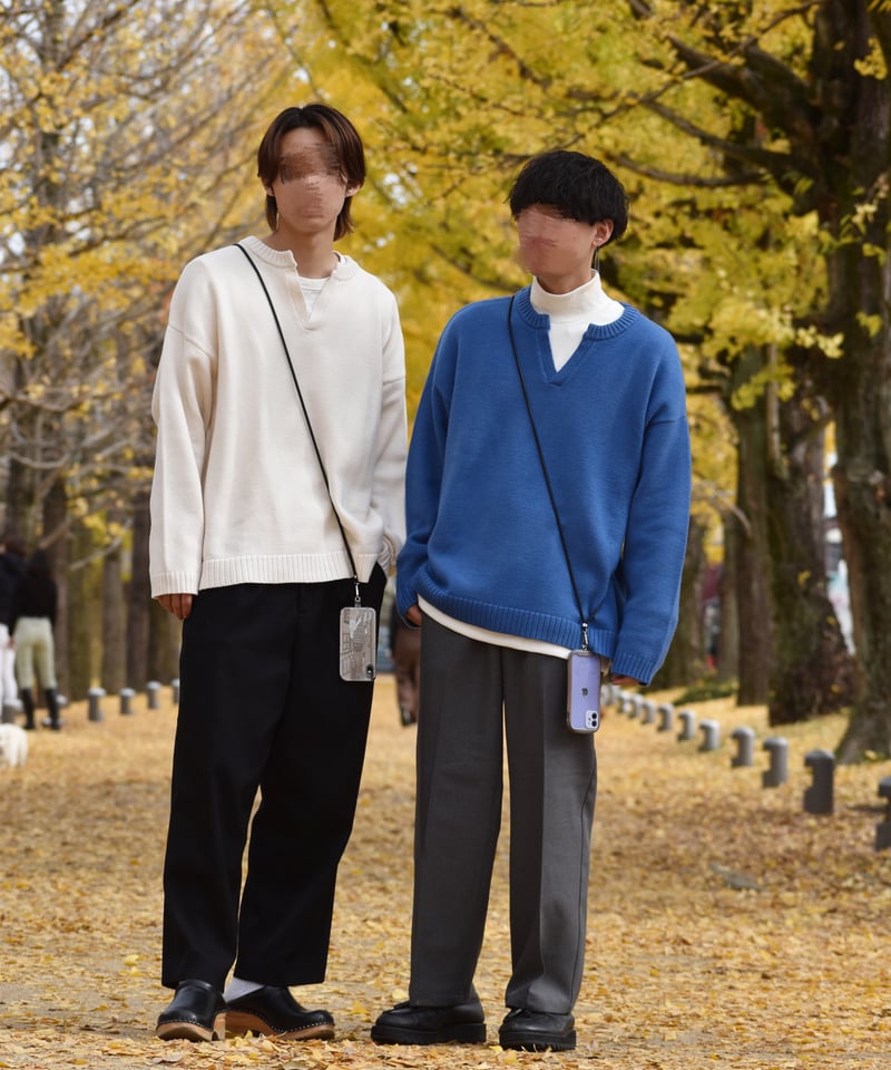 Vネック厚手ニット | Mr.Creape