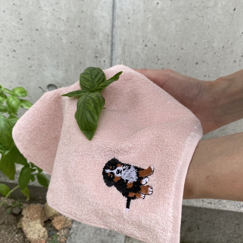 今治ハンドタオル ／バーニーズマウンテンドッグ刺繍入り【正式
