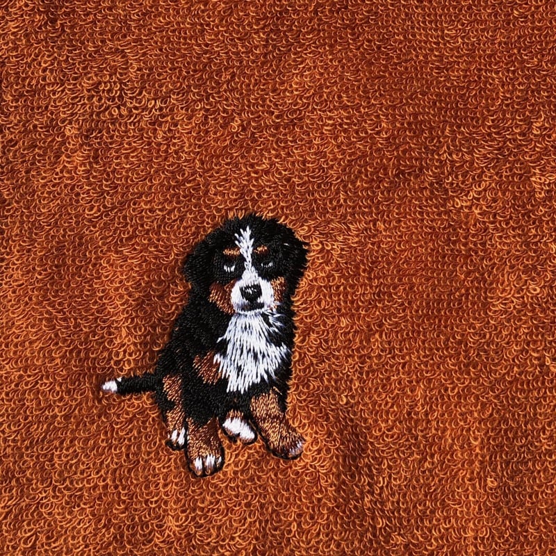 今治ハンドタオル ／バーニーズマウンテンドッグ刺繍入り【正式認定証