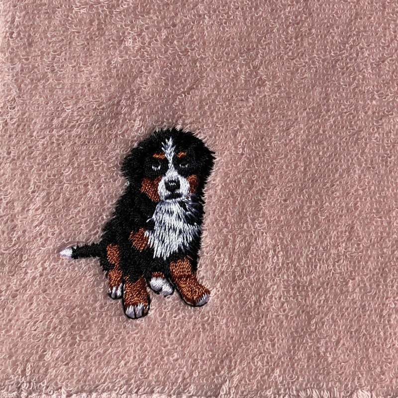 今治ハンドタオル ／バーニーズマウンテンドッグ刺繍入り【正式認定証