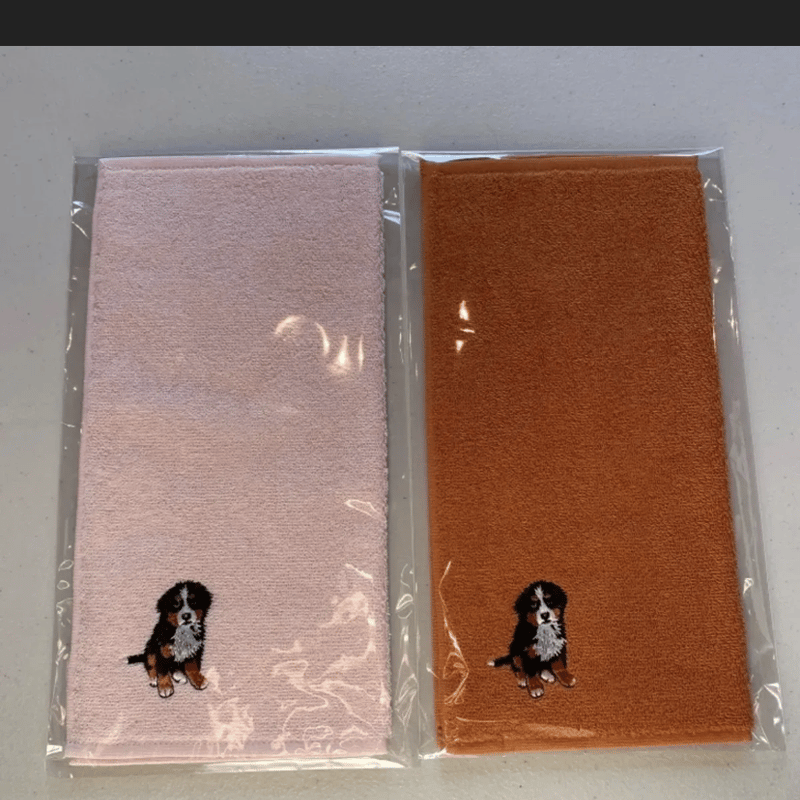 今治ノーマルパイルハンカチ2枚セット【今治タオルブランド商品認定証