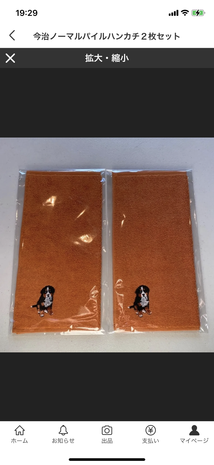 今治ノーマルパイルハンカチ2枚セット【今治タオルブランド商品認定証