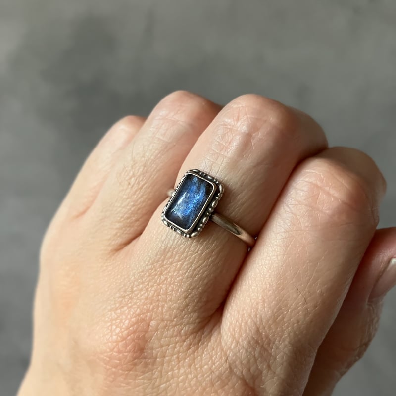 リアル蝶/バタフライ 標本 リング 指輪 揚羽町 ブルー モルフォ蝶