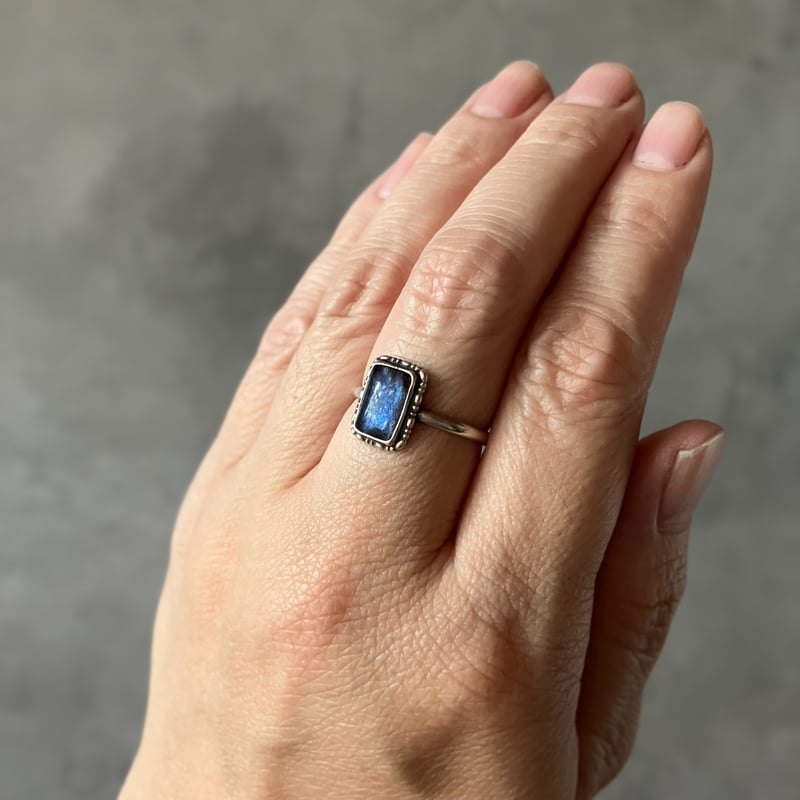 英国ヴィンテージ モルフォ蝶の翅のサークルブローチ バタフライウィング 英国ヴィンテージ モルフォ蝶の翅のサークルブローチ バタフライ