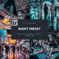 Night Photography Preset CYBER PUNK