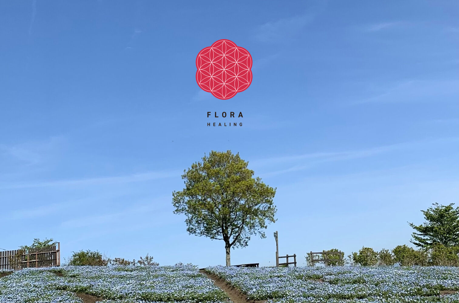 FLORA HEALING