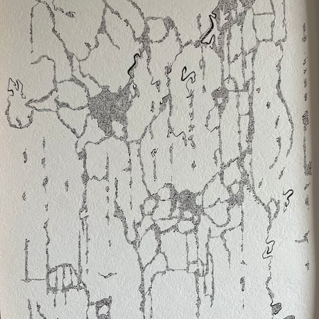 馬　翅