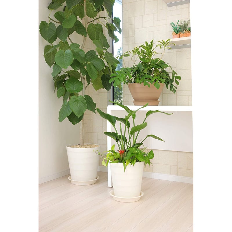 クラフトポット 40型 ホワイト アップルウェアー 観葉植物
