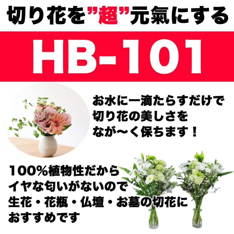 お気にいる】 フローラ 植物活力剤 1L HB-101 | www.happychild.co