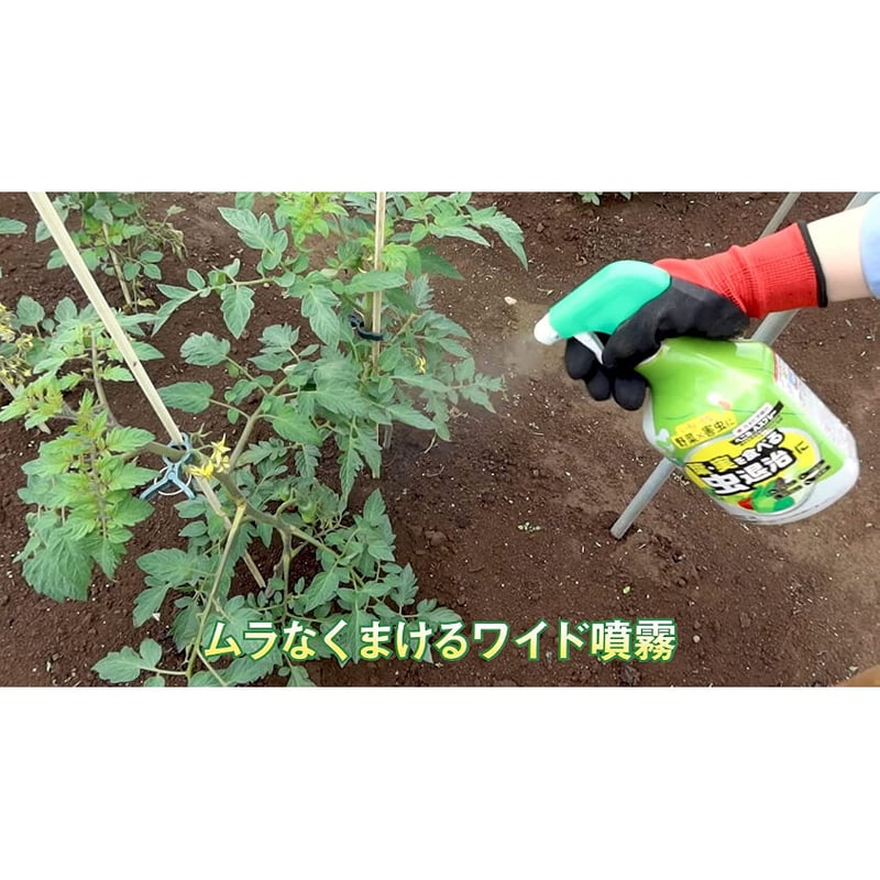ガーデニング・DIY・防殺虫関連 ガーデニング・花・植物・ＤＩＹ関連