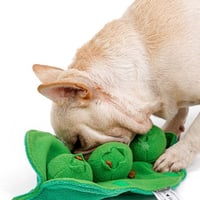 犬用おもちゃ 探犬ＴＯＹビーン 遊びながら、頭を使い楽しくトレーニング！