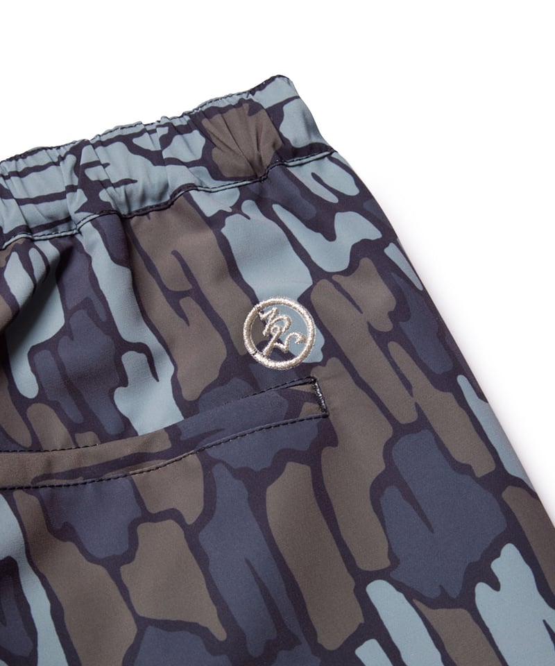 Evisen Skateboards | エビセンスケートボード | POSTMAN PINT