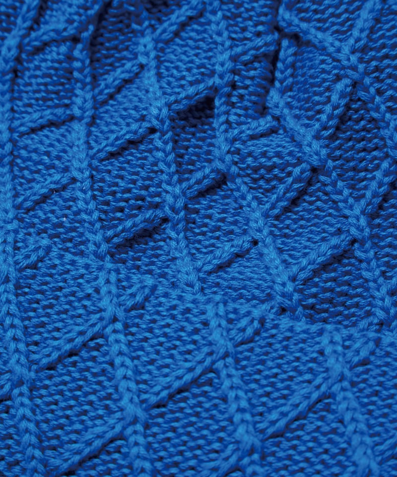 Evisen Skateboards | エビセンスケートボード | E LOGO BEANI