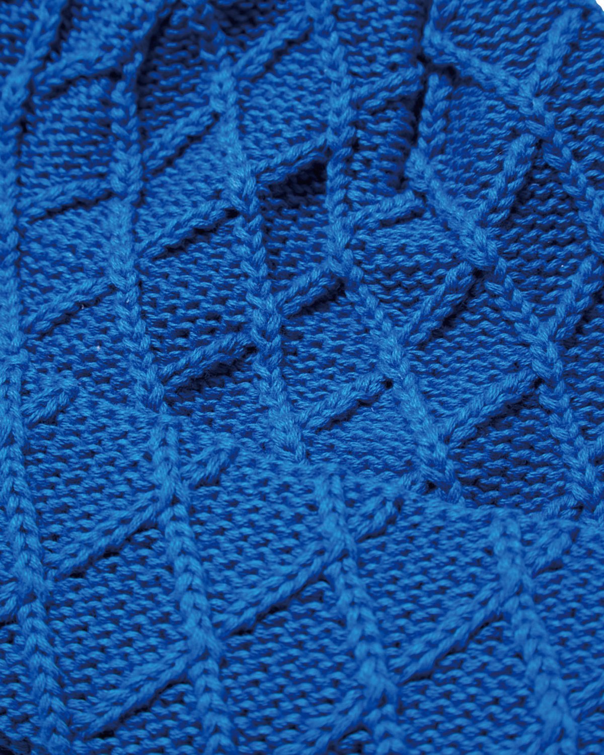 Evisen Skateboards | エビセンスケートボード | E LOGO BEANI