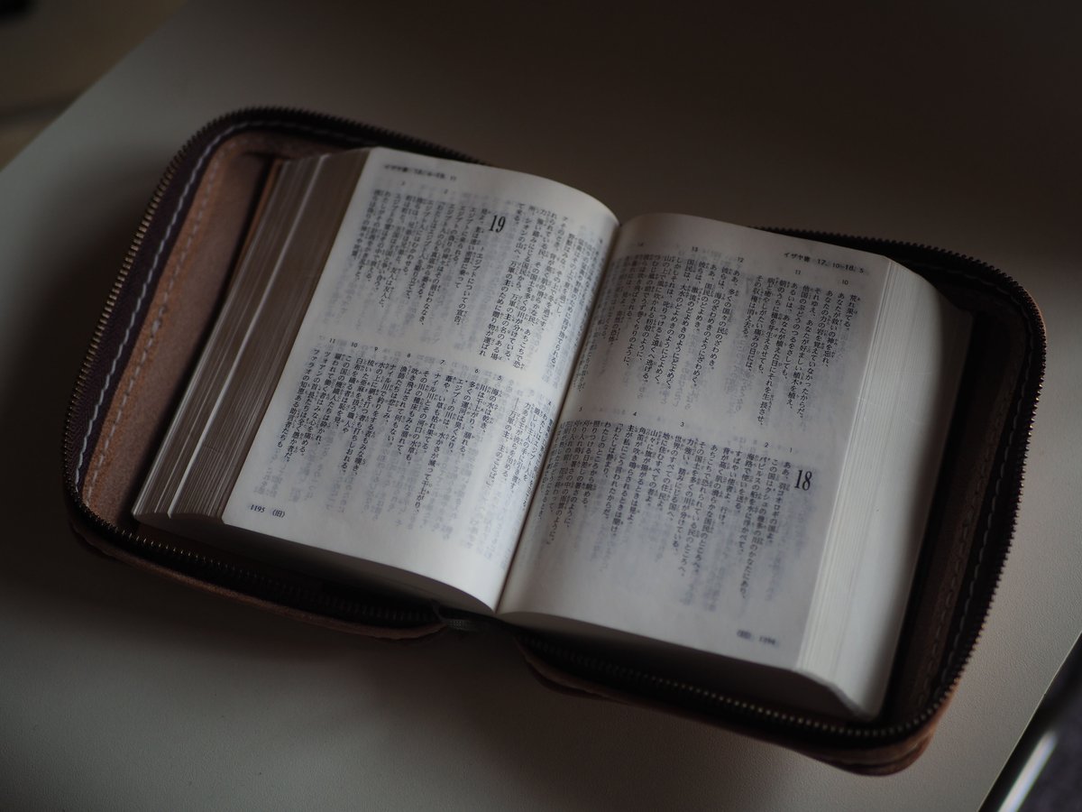 受注見本　新改訳2017小型版 取手付き聖書カバー 受注見本 新改訳2017小型版 取手付き聖書カバー バイブルミニカバー 新改訳