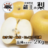 宮城県産 梨 2Kg(4玉～9玉入り)品種おまかせ 秋の味覚 梨 ギフト プレゼント 人気 果物 フルーツ 宮城県蔵王町 送料無料 お取り寄せ