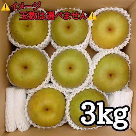 宮城県産 梨 3Kg(6玉～9玉入り)品種おまかせ 秋の味覚 梨 ギフト プレゼント 人気 果物 フルーツ 宮城県蔵王町 送料無料 お取り寄せ