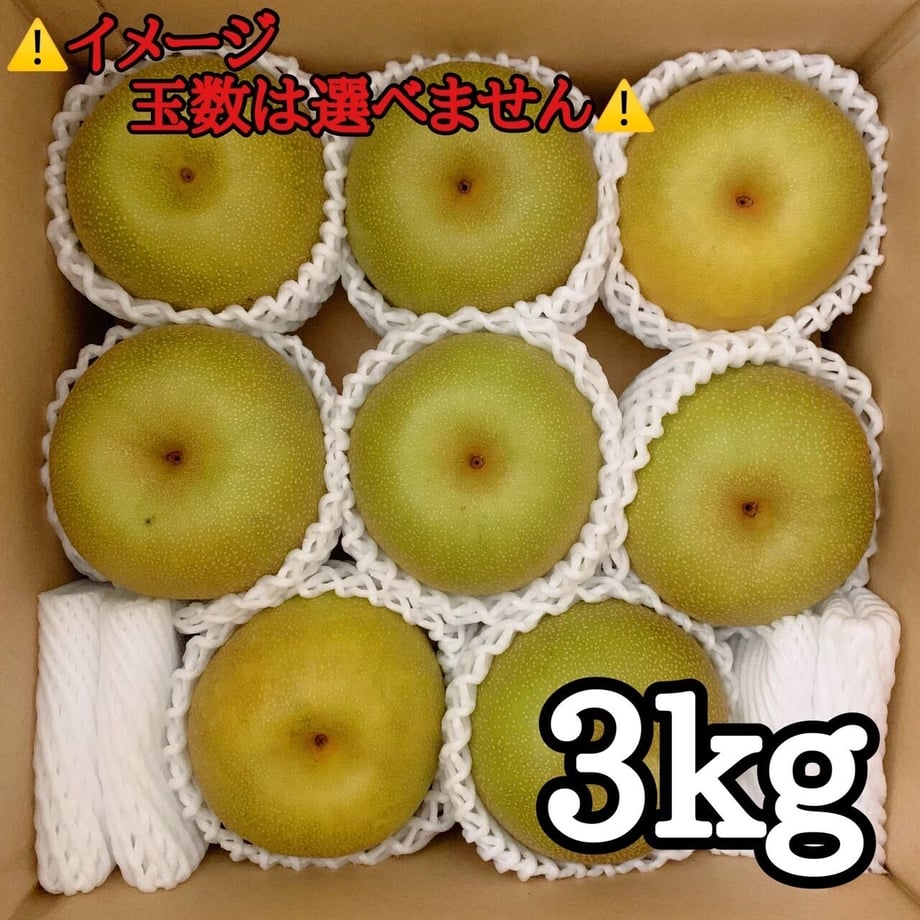 64f95c65dacada002ce3d76b
