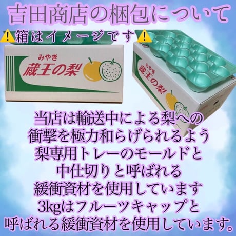 宮城県産 梨 3Kg(6玉～9玉入り)品種おまかせ 秋の味覚 梨 ギフト プレゼント 人気 果物 フルーツ 宮城県蔵王町 送料無料 お取り寄せ