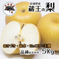 宮城県産 梨 5Kg(10玉～14玉入り)品種おまかせ 秋の味覚 梨 ギフト プレゼント 人気 果物 フルーツ 宮城県蔵王町 送料無料 お取り寄せ