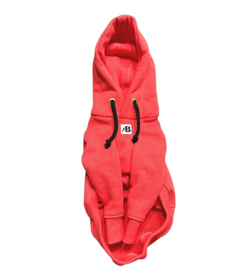 MajiでKusoする5秒前【Coral orange】