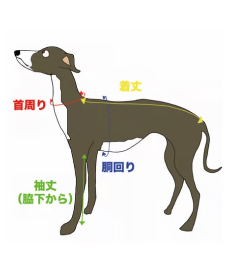 サイズの測り方【サイズ表はヌードサイズです】