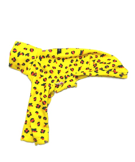 令和のヒョウ【yellow】