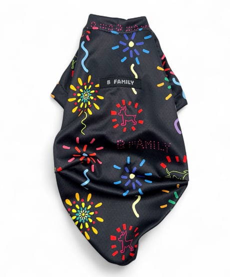 CATEGORY Tシャツ | B family