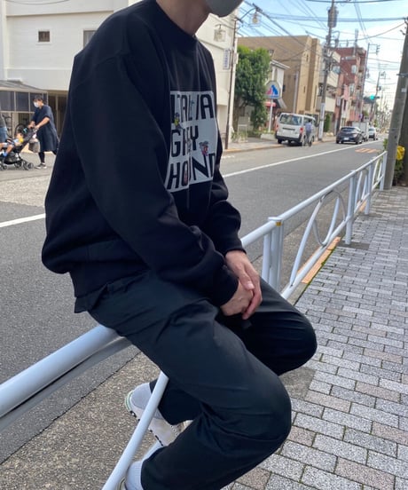 イタグレのトレーナー。