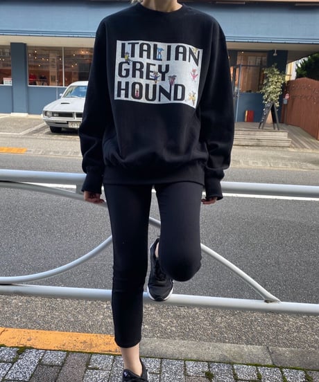 イタグレのトレーナー。