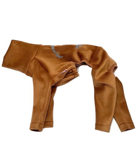 うちのこかわいい。【Camel】