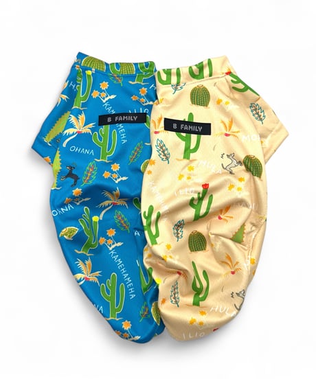 HAWAIIAN TOGETOGE【サンド】