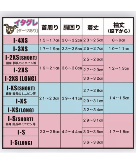 イタグレとショートケーキ。【ラグラン】