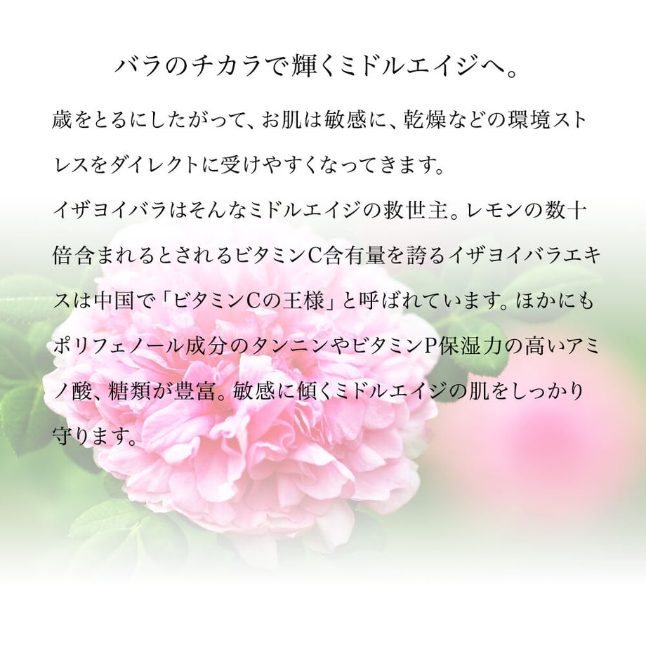 61c65278d26fa51a410c1340