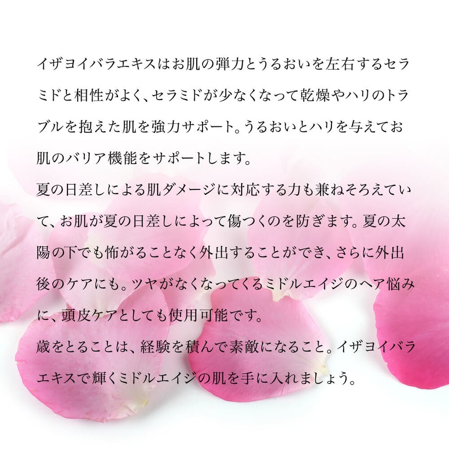 61c65278d26fa51a410c1340