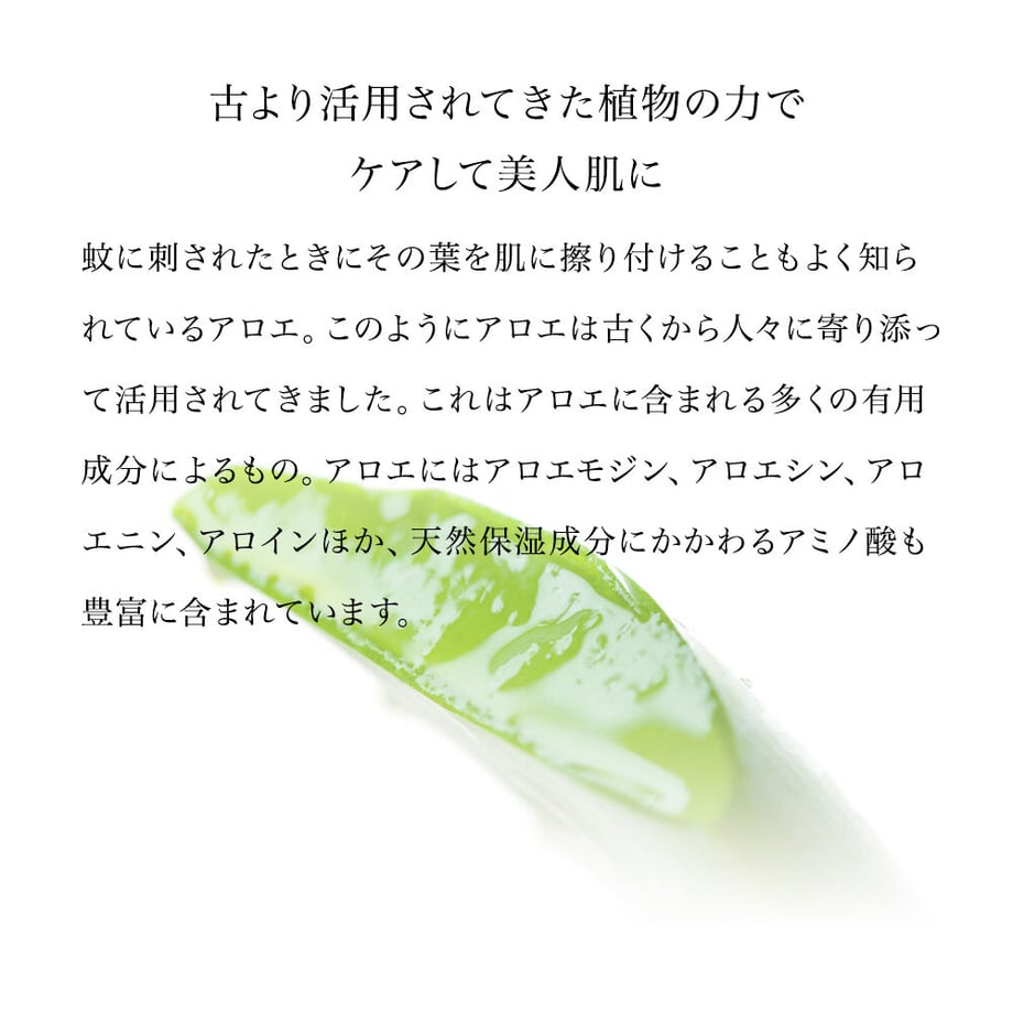 61c2ee3b2ee5c27fa41ae36b