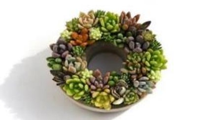 多肉植物寄せ植えM | Green-Tech