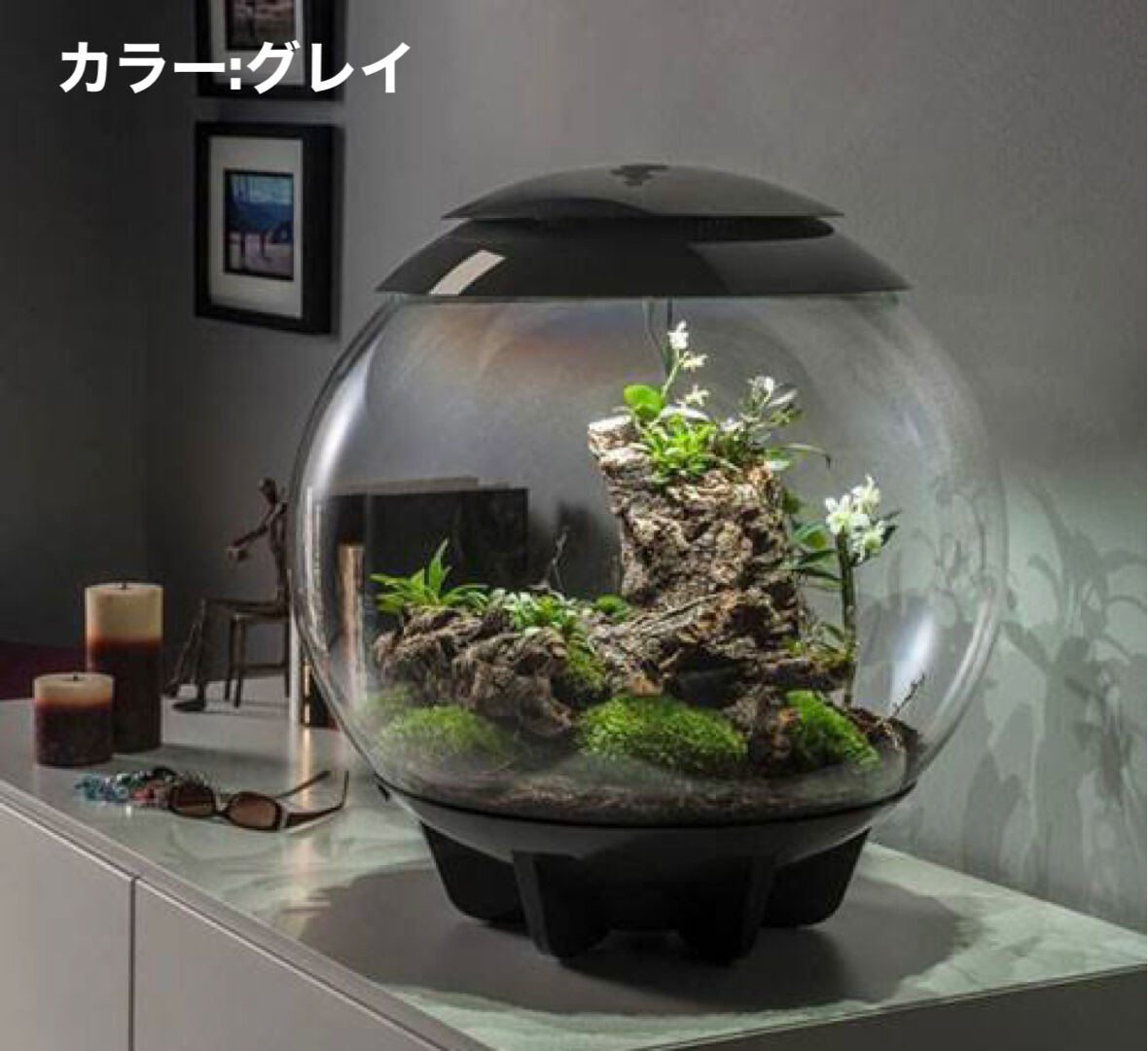 biOrb☆バイオーブエアー60☆ホワイト biOrb AIR 60 Terrarium: Automated Terrarium for Plants