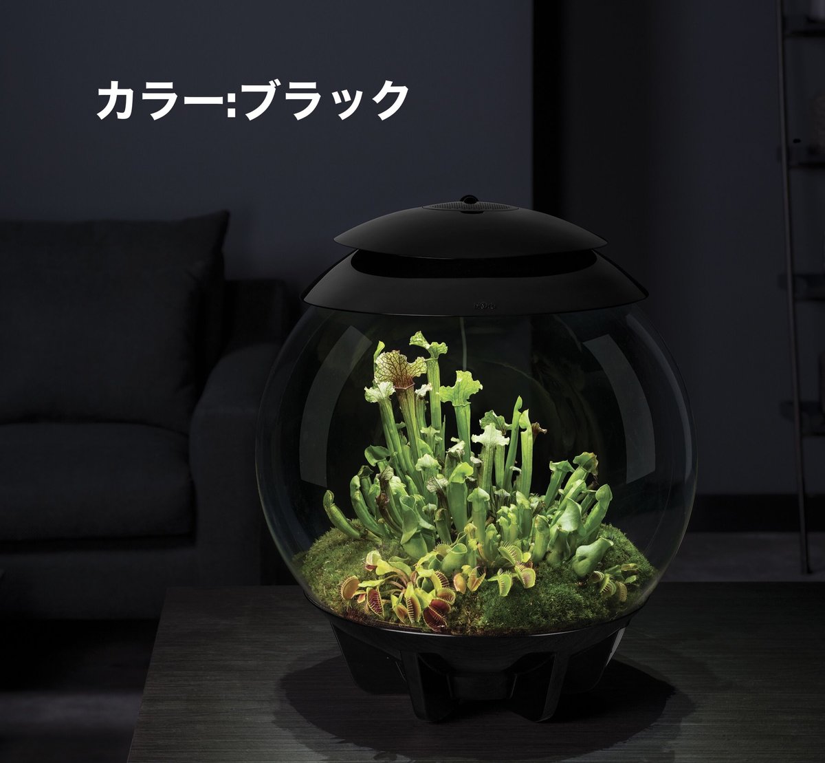 バイオーブエアー60 ブラック 自動化テラリウム 熱帯雨林再現 BiOrb AIR 60 バイオーブエア60 – g KEYAKIZAKA