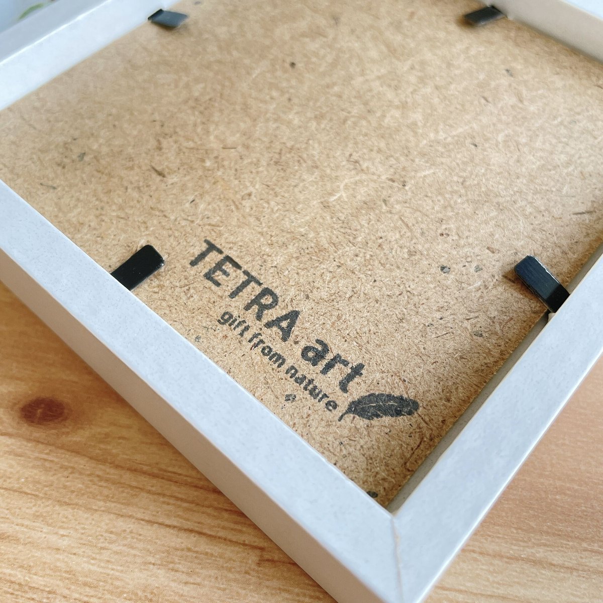 波のスクエアフレーム・小 | TETRA art