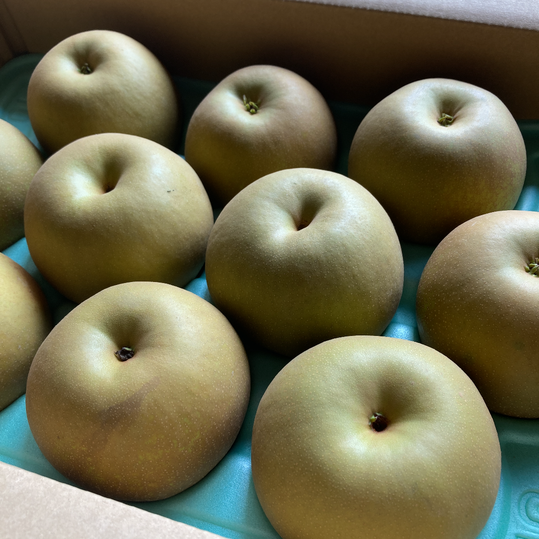 甘太 かんた 梨 5㎏箱詰め 高級品種 | 牧田農園