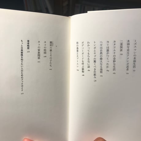 【新刊】日高敏隆『ネコの時間』