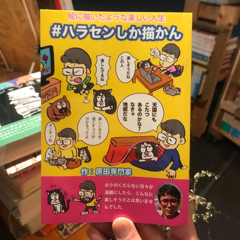 67dd33e4035945bf7378f36e